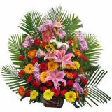吕梁鲜花速递